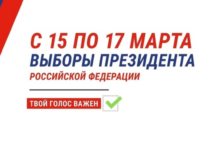 Выборы. Выборы.
