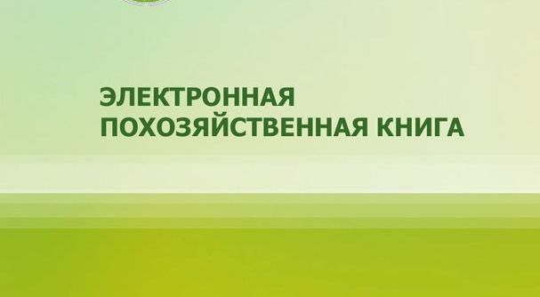 Электронная похозяйственная книга. Электронная похозяйственная книга.